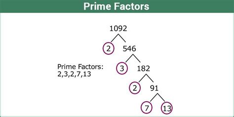 prime factorisation determining  prime factors  solved