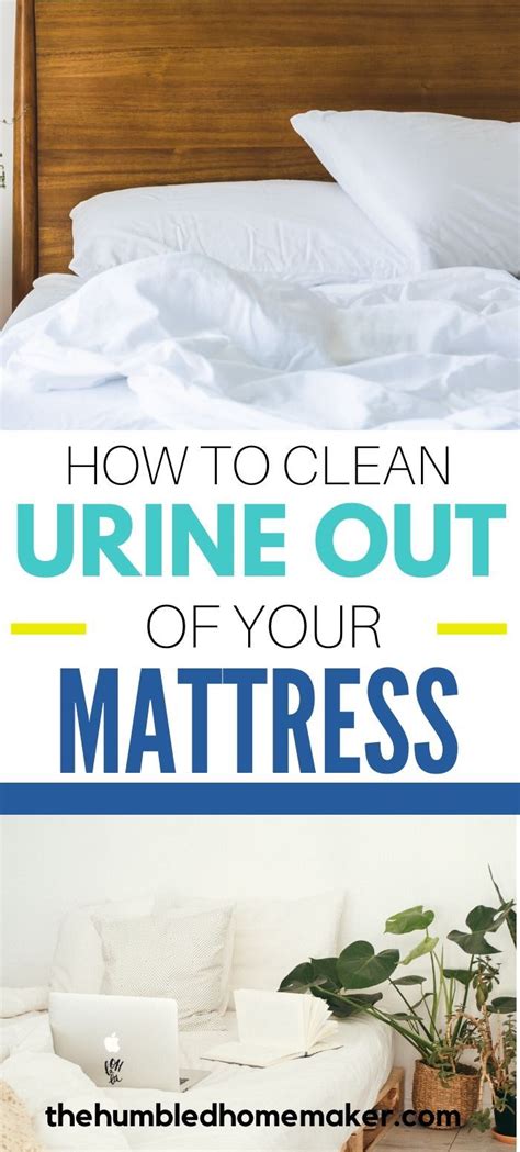 clean pee    mattress cleaning pet urine pee