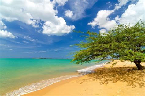 Paradisíacas Playas En El Caribe Colombiano