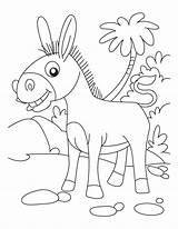 Donkey Ane Esel Donkeys Ausmalbilder Heureux Superbe Palm Bestcoloringpages Malvorlagen Smartest Mewarnai sketch template