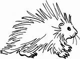 Porcupine Coloring Pages Clipart Clip Squirrel Cartoon Drawing Cliparts Line Cute Easy Printable Kids Porcupines Shamu Information Food Library Categories sketch template
