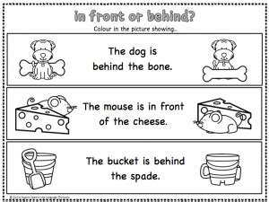 prepositions  front   worksheets  key word