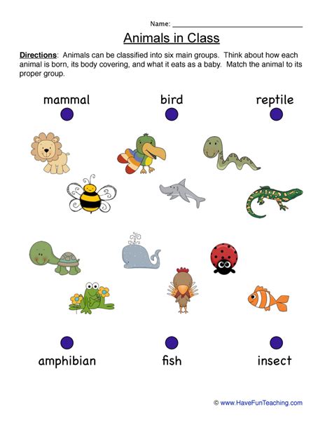 animals worksheet classification