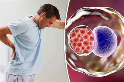 Symptoms Of Chlamydia In Males Six Warning Signs Of The