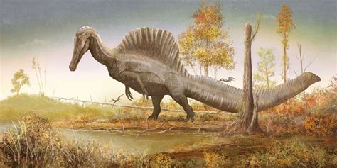whats   accurate spinosaurus  rpaleontology
