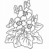 Coloring Spring Pages Printable Flowers Popular Flower sketch template