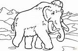 Mammut Coloring Mammoth Ausmalbild Kostenlos Ausdrucken Woolly sketch template