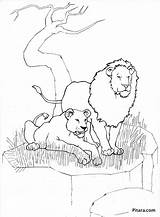 Lions Pitara Wield sketch template