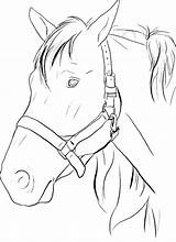 Coloring Pages Realistic Horse Horses Printable Getdrawings sketch template