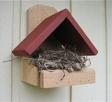 image result  cardinal nest box plans casette  uccelli casa  insetti uccellini