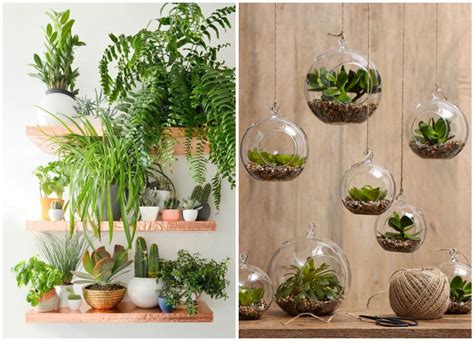 decorate  home  indoor plants  easy home decor