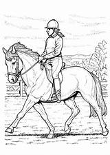 Coloring Riding Horse Pages Back Printable sketch template