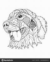 Golden Retriever Zentangle Dog Coloring Stress Anti Vector Book Illustration Adults Pages Adult Depositphotos Dibujos Drawing Animal sketch template