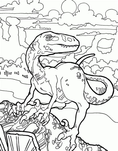 velociraptor coloring pages learny kids