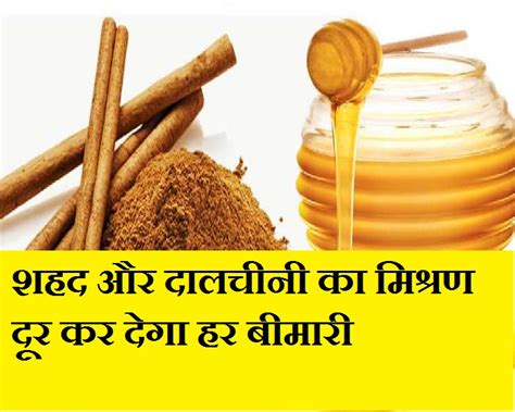 Benefit Of Honey And Cinnamon जानिए शहद और दालचीनी के 10 बेहतरीन सेहत