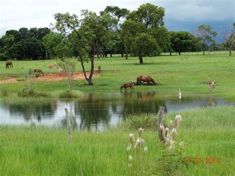paisagem rural da região de jardim pantanal picture of hotel jardim jardim tripadvisor