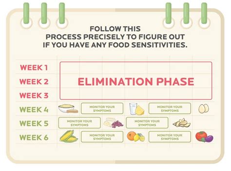 ultimate guide   elimination diet meal plan