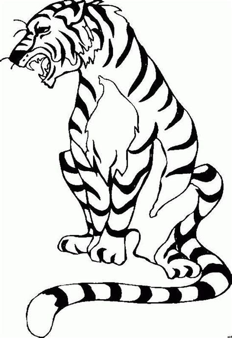coloring page tiger animal coloring pages  horse coloring pages