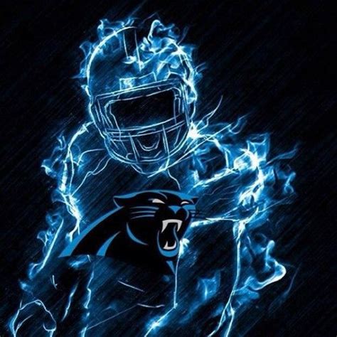 heart   champion carolina panthers carolina panthers football