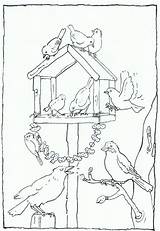 Feeder Vogels Birds Voeren Tuin выбрать доску Wintervogel Voederhuisje sketch template
