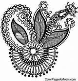 Paisley Coloring Adult Pages sketch template