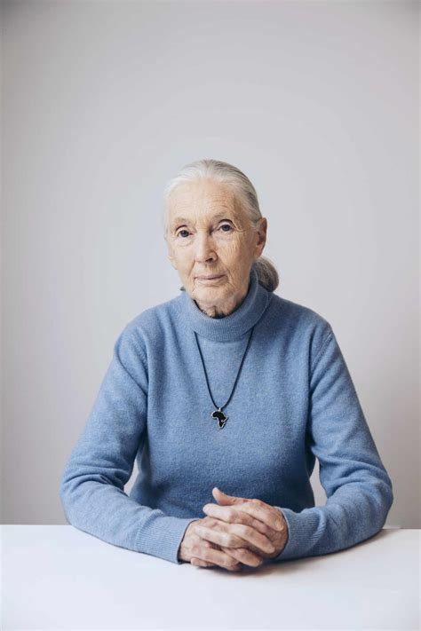 Jane Goodall Plus Les Perspectives Sont Sombres Plus Je Suis