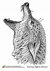 Adult Wolf Coloring Pages Head Loup Coloriage Dessin Colorier Template Mandala Colouring Djur Hugolescargot sketch template