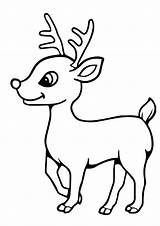 Reindeer Coloring Baby Pages Printable Kids Description sketch template