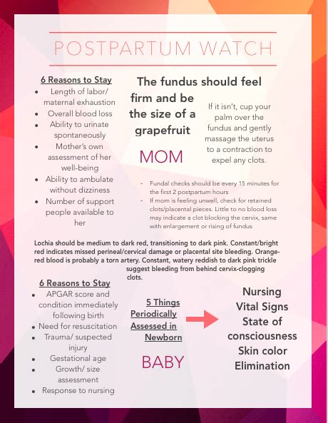 Postpartum Watch Midwife Assistant Uterus Postpartum