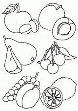Frutas Dibujo Anterior sketch template