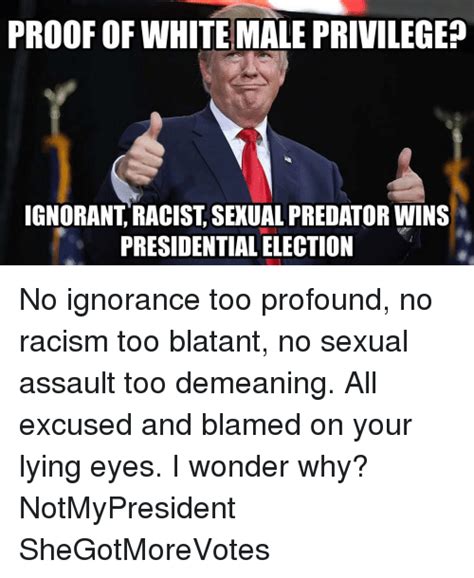 Proof Of White Male Privilege Ignorant Racist Sexual Predatorwins