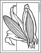 Coloring Corn Thanksgiving Pages Fall Ears Cob Print Two Fun Colorwithfuzzy Commission Associate Offsite Links Amazon Through Small Make May sketch template