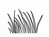 Coloring Pages Long Getcolorings Grass sketch template