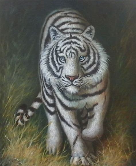harimau putih mata merah ani gambar