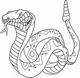 Coloring Snake Pages Viper Getcolorings Printable Color Kids sketch template