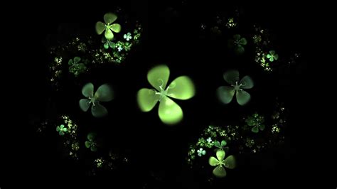 leaf clover wallpapers  pictures