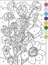 Flowers Numbers Coloring Color Nicole Pages Colouring sketch template