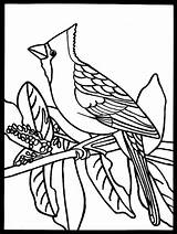 Coloring Cardinal Pages Printable Bird Dover Publications Doverpublications Audubon Getdrawings Getcolorings Color sketch template