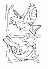 Oiseau Oiseaux Pajaros Uccelli Pajaritos Lecturas Cortas Pájaros Comprensivas Coloriages Rajz Aves Tiernos Copiare Canari Colorier Malvorlage Pajaro Adulte Coloringpages sketch template