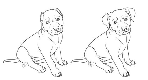 pitbull puppy coloring pages thiva hellas