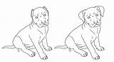 Pitbull Bulls Bull Stencils Moldes Pets sketch template