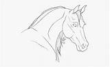 Arabian Horse Coloring Pages Heads Clipartkey sketch template