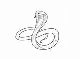 Snake Drawing Cobra Simple Drawings King Easy Draw Drawn Head Pencil Getdrawings 3d Step Paintingvalley sketch template