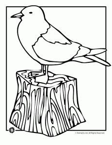 summer animal coloring pages  print animal jr summer coloring