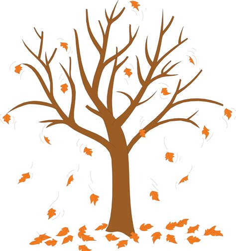 pictures  trees  leaves clipart