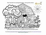 Kids Garden Fruit Vegetable Coloring Printable Solus Chef Story Gardening Sheet Box Right sketch template