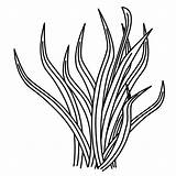 Coloring Grass Plant Printable Pages Clipart sketch template