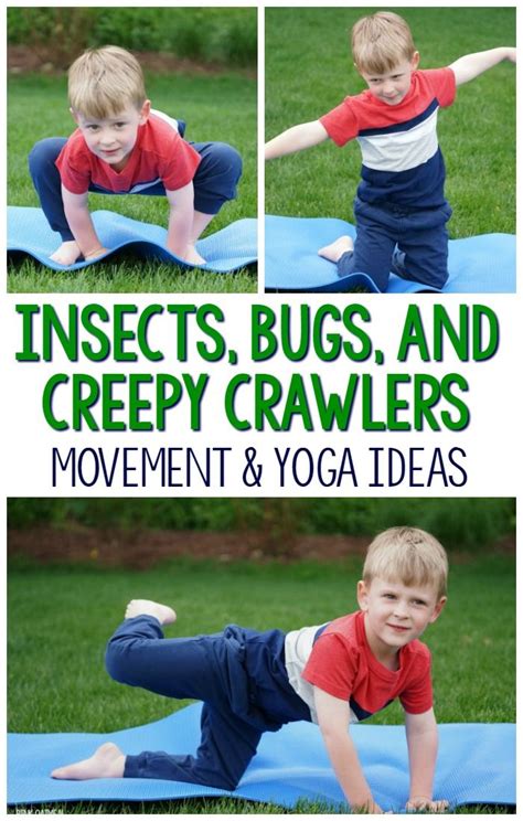 insects bugs  creepy crawlers themed yoga yoga  kids insects