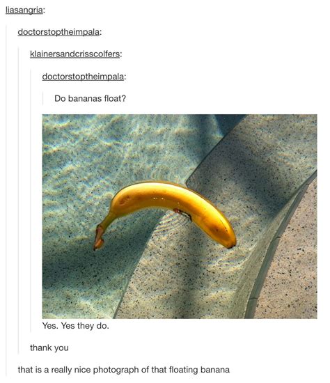 20 tumblr posts with a sense of humor funny gallery ebaum s world