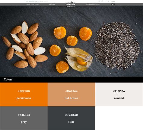 beautiful ecommerce website color schemes